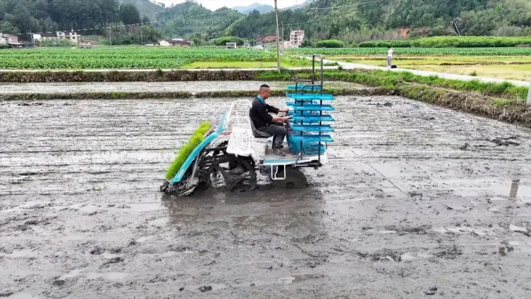 暫無圖片