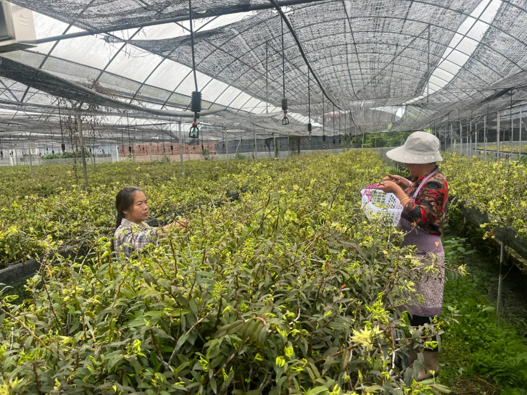 暫無圖片