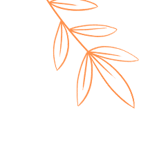 暫無圖片