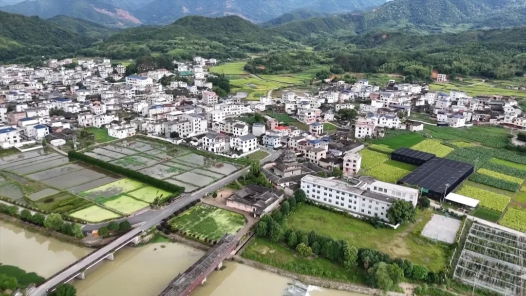 暫無圖片