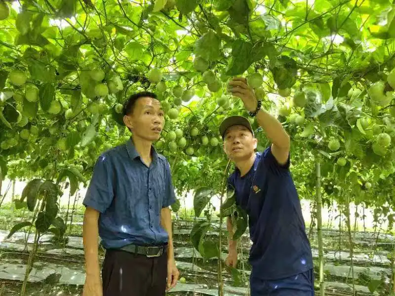 圖片