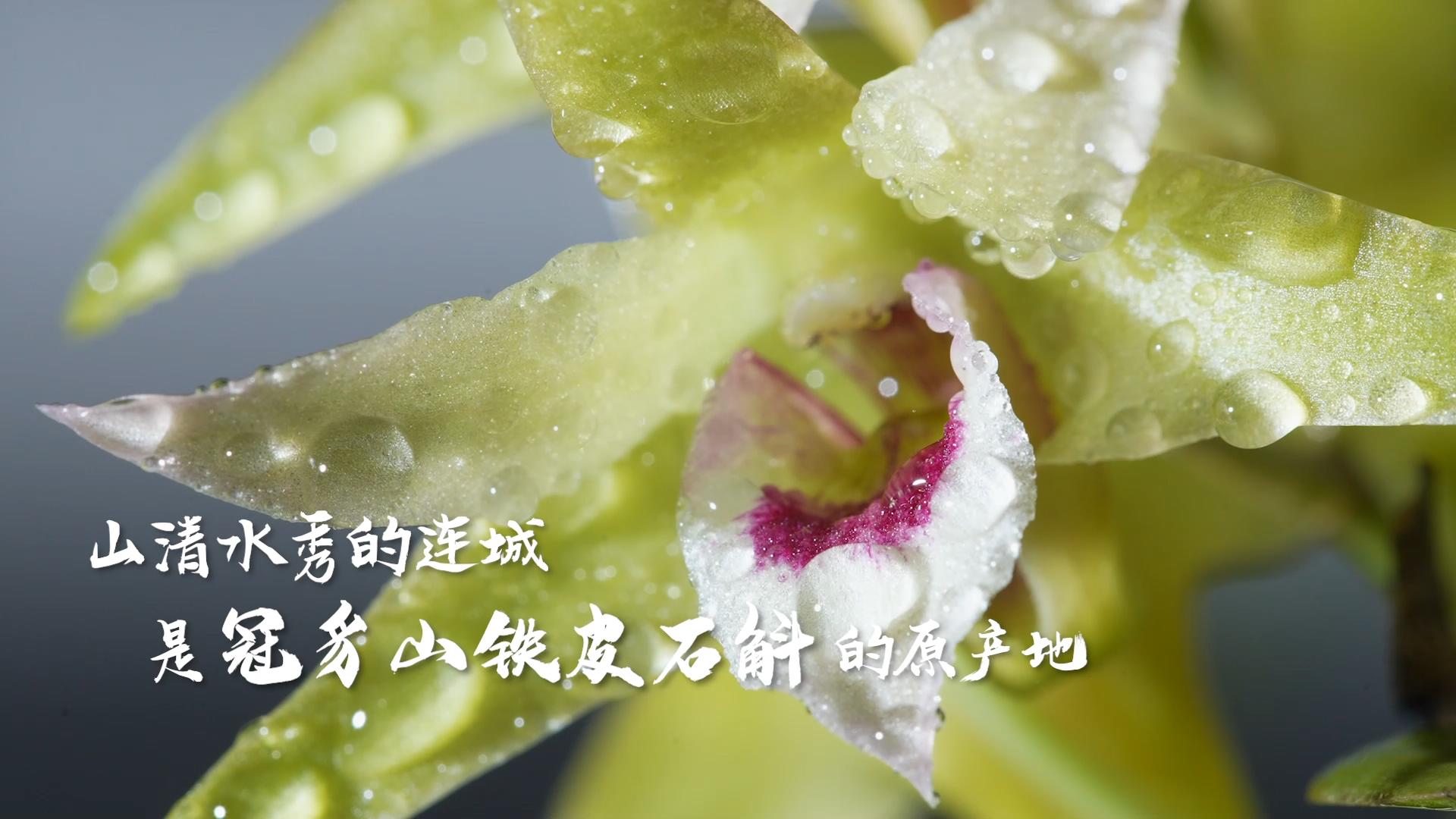 暫無圖片