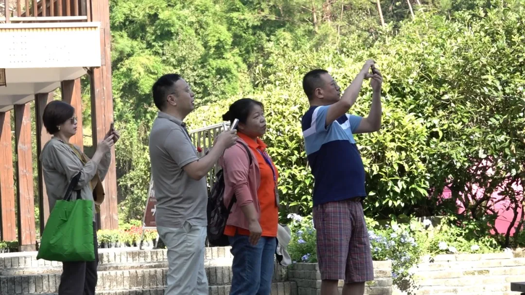 冠豸山風景區：中秋假期迎來客流小高峰