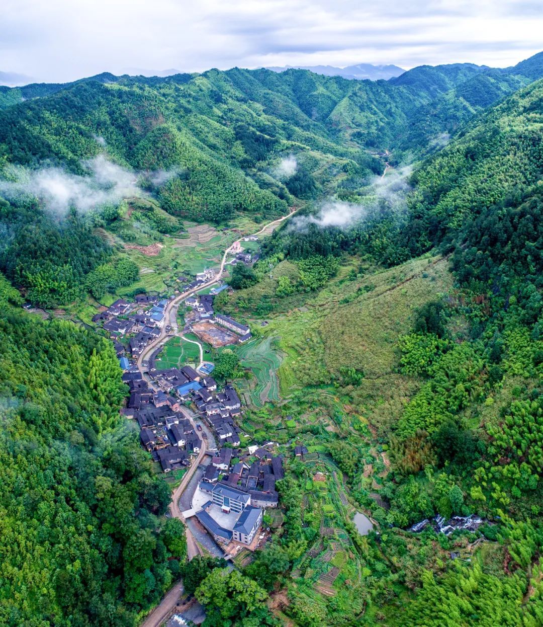 暫無圖片
