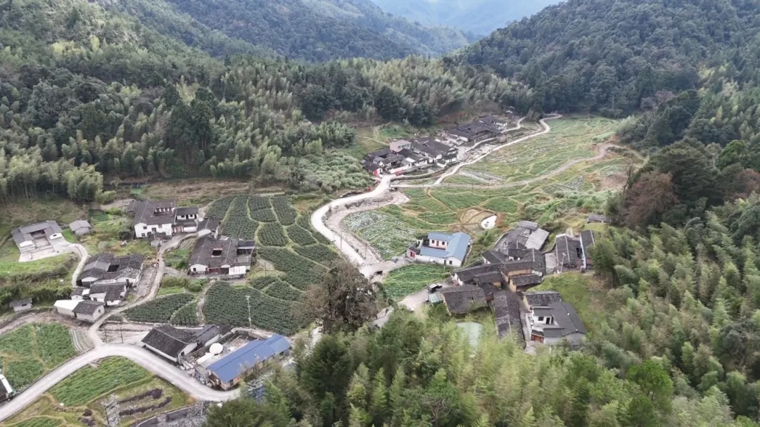 暫無圖片