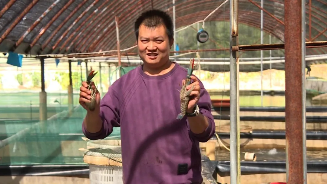 暫無圖片