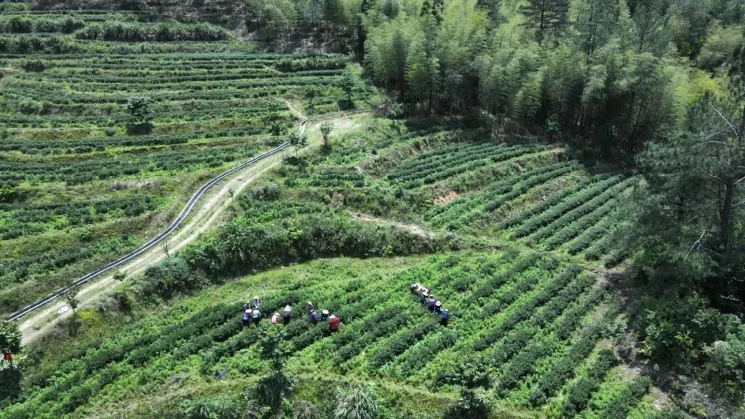 暫無圖片