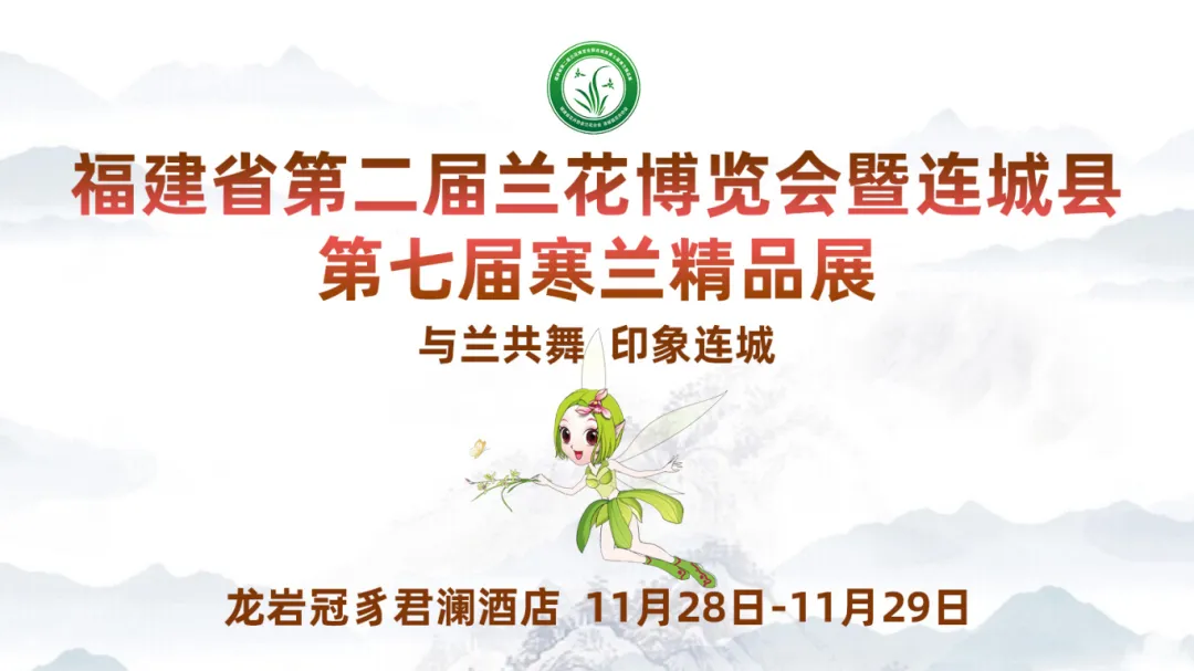 暫無圖片