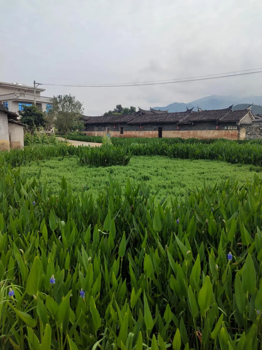 暫無圖片