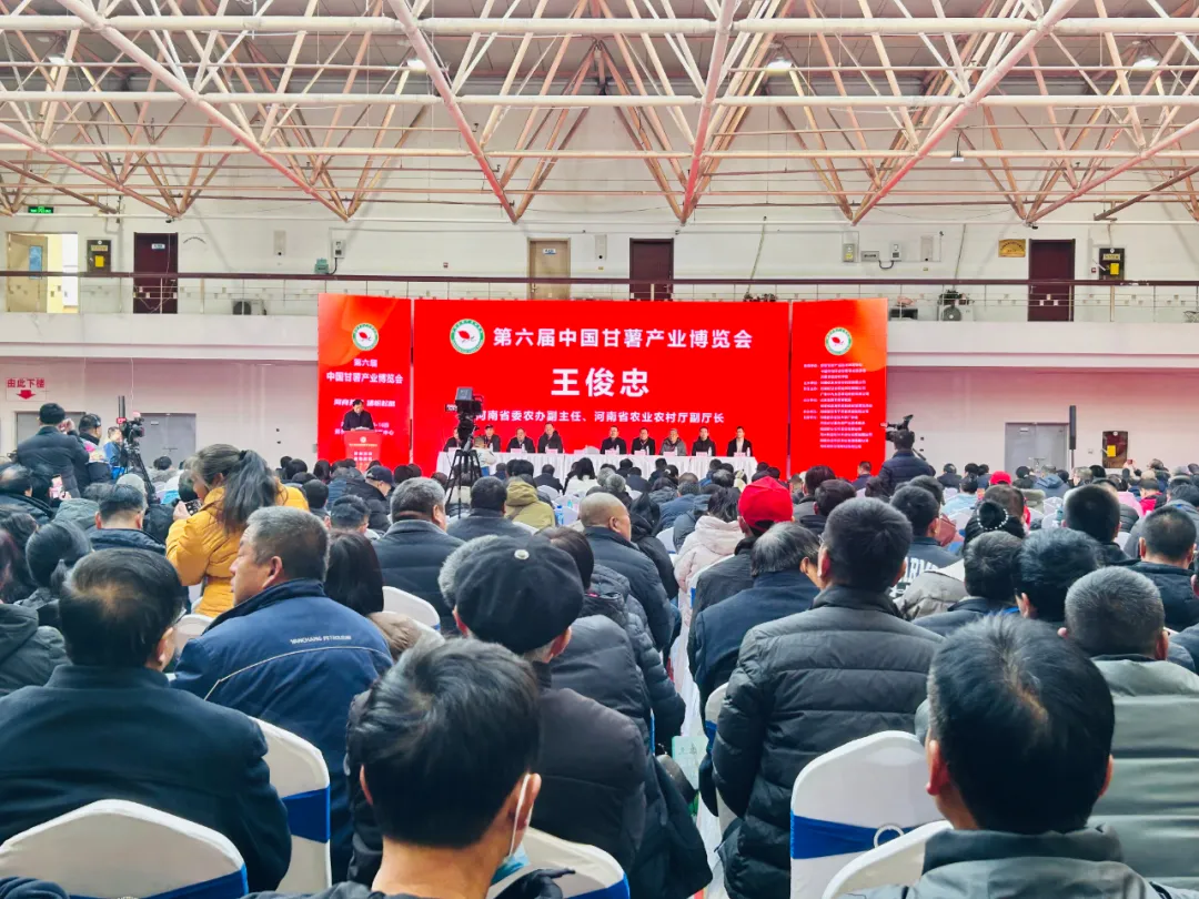 暫無(wú)圖片