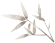 暫無圖片
