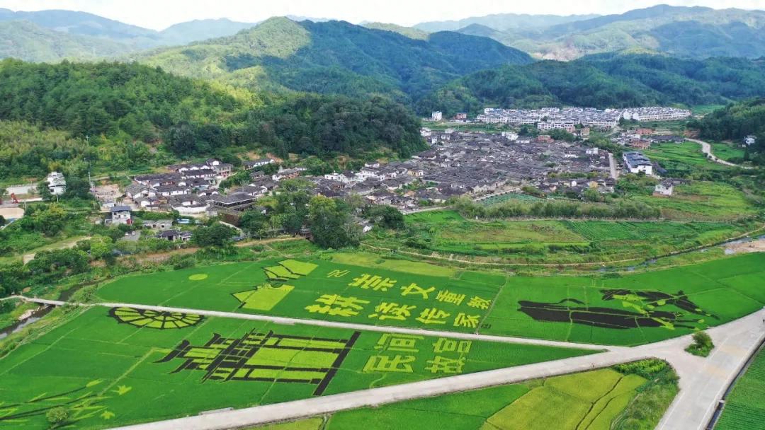 暫無圖片