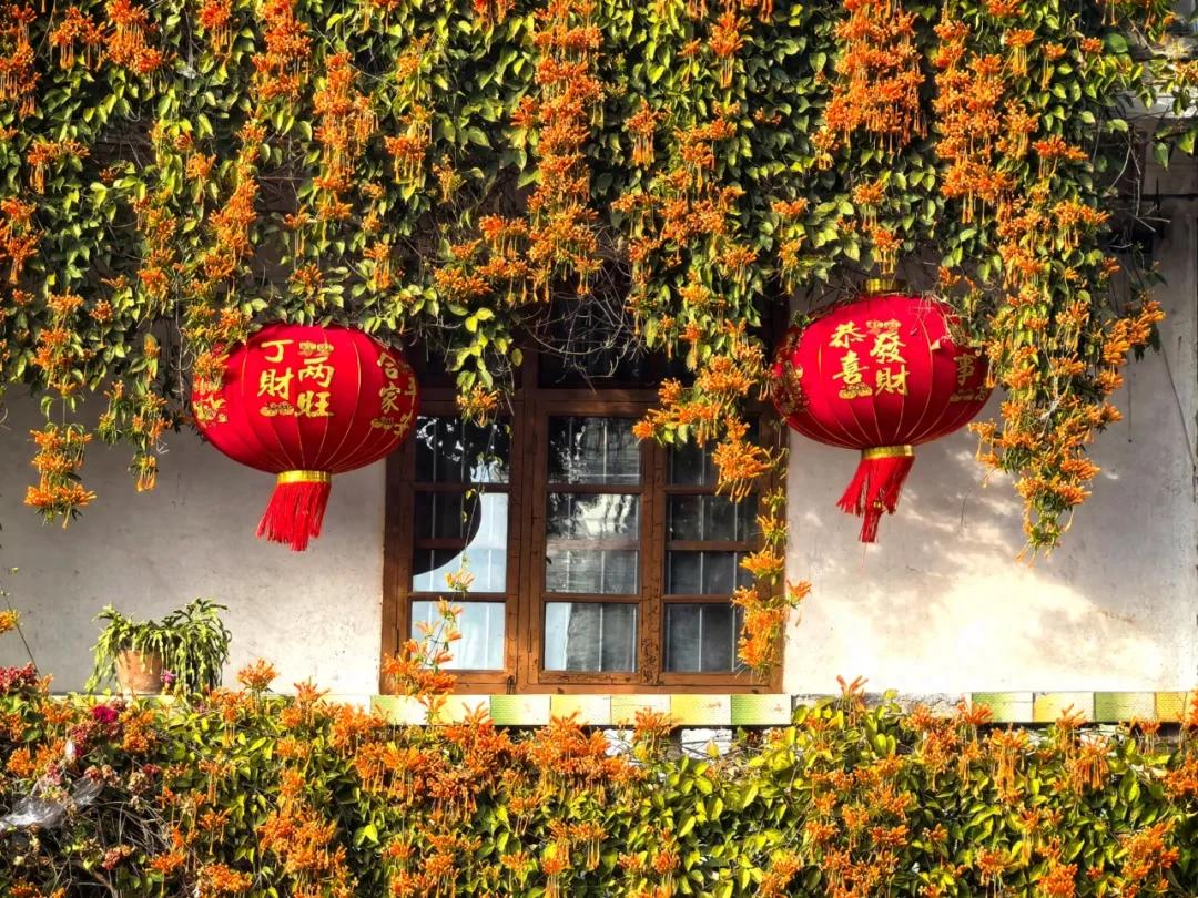 暫無圖片