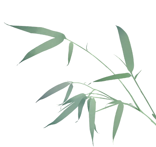 暫無圖片