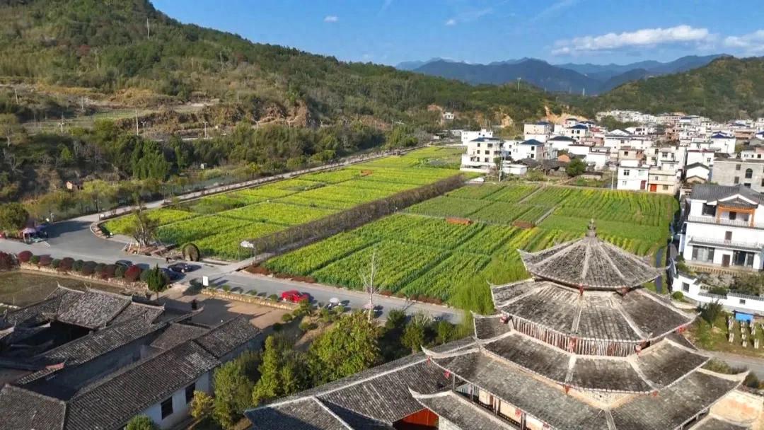 暫無圖片
