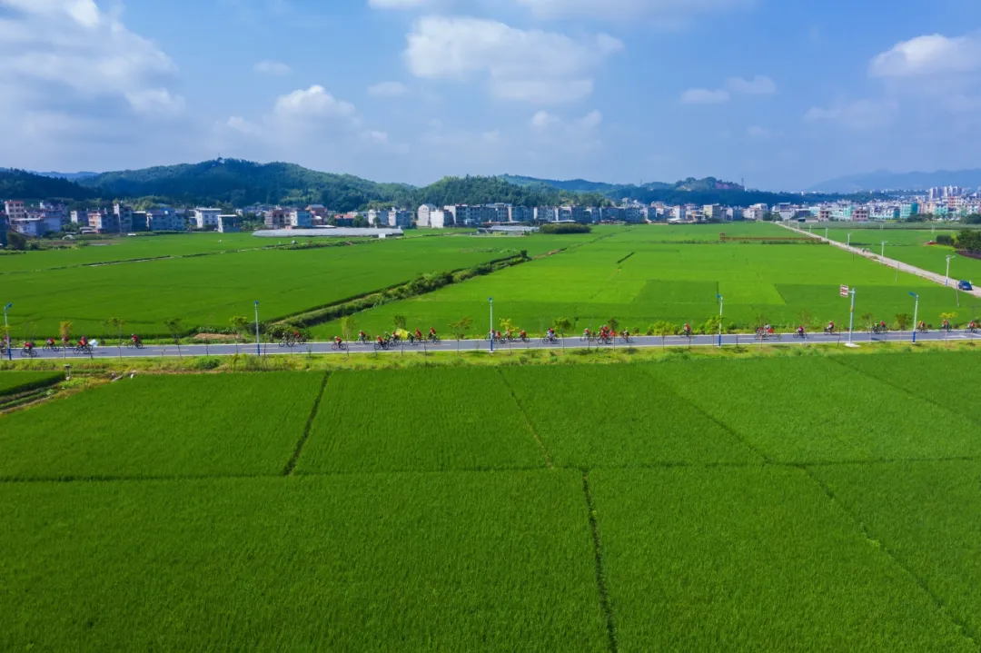 DJI_0252.jpg