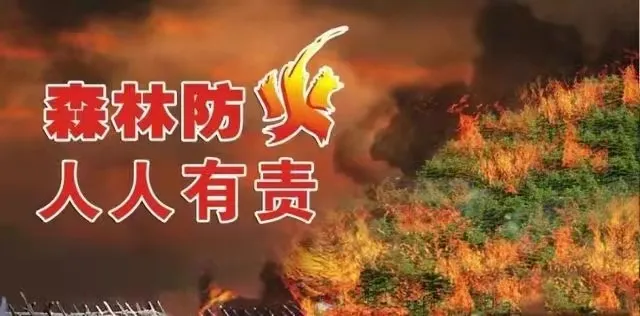暫無(wú)圖片