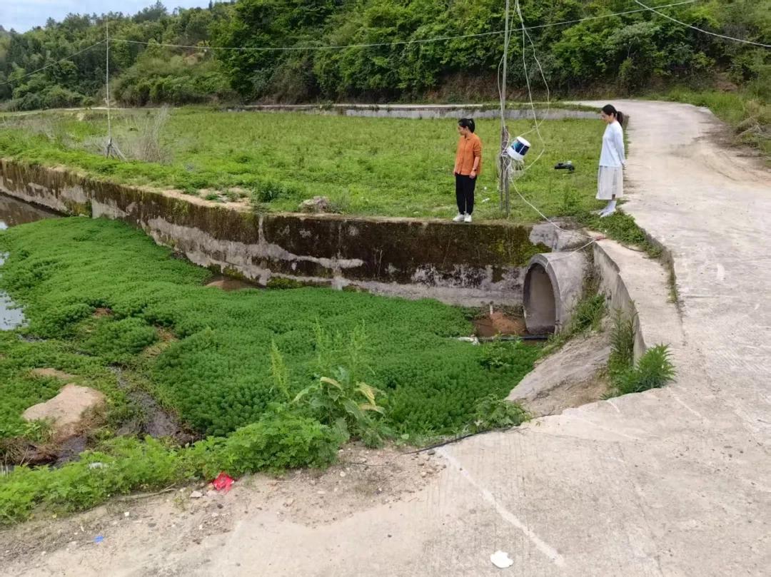 暫無圖片