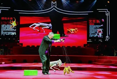 圖片